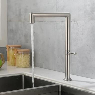 Robinet D'évier de Cuisine en Acier Inoxydable de Poignée Simple de Brosse de Nickel Moderne TN258R